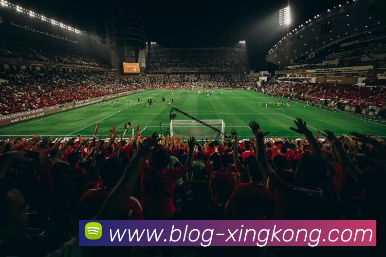 多媒体互动体验